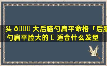 头 🐅 大后脑勺扁平命格「后脑勺扁平脸大的 ☘ 适合什么发型好看」